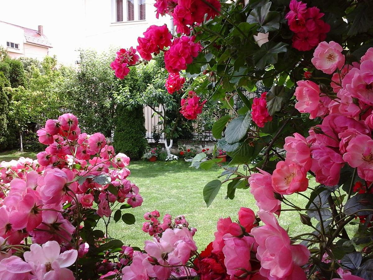 Casa Monica Hotell Băile Felix Eksteriør bilde