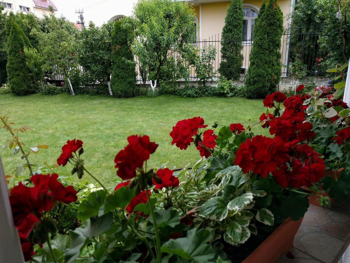 Casa Monica Hotell Băile Felix Eksteriør bilde