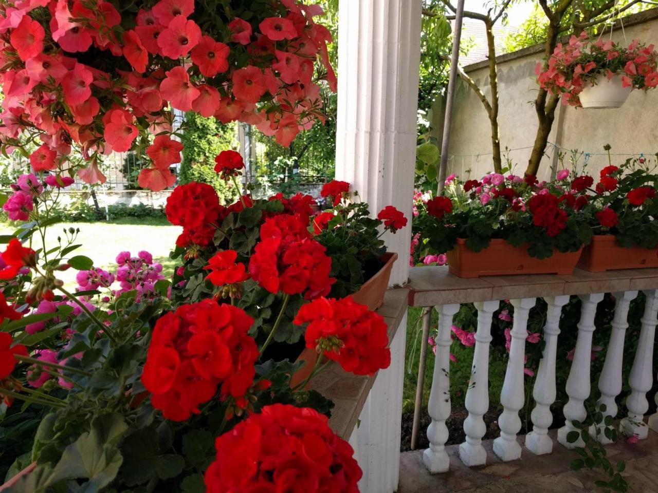 Casa Monica Hotell Băile Felix Eksteriør bilde
