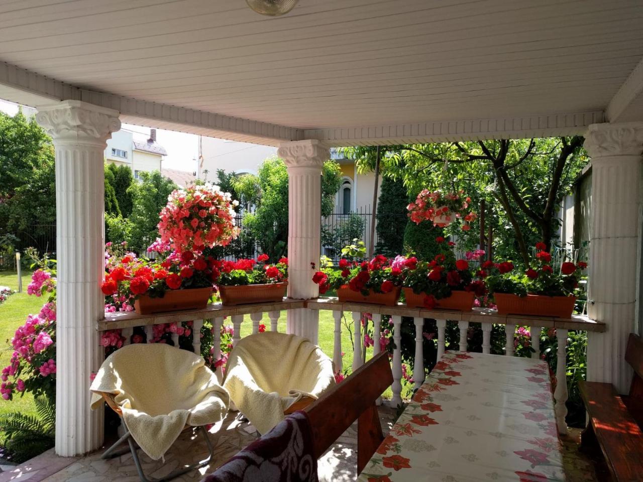 Casa Monica Hotell Băile Felix Eksteriør bilde